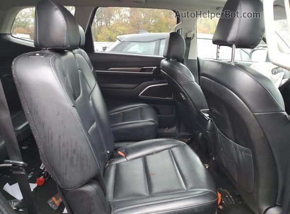 5XYP6DHC0LG043254 2020 KIA TELLURIDE Gray Vista de los asientos traseros