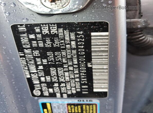5XYP6DHC0LG043254 2020 KIA TELLURIDE Gray Vista del compartimento del motor