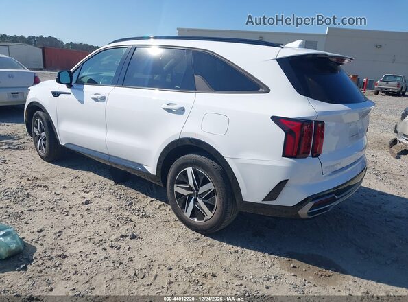 5XYRL4LC8PG172339 2023 KIA SORENTO Белый Задняя левая четверть
