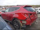 2016 Hyundai Santa Fe Sport 2.4l Красный vin: 5XYZU3LB9GG365775