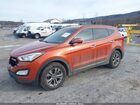 2016 Hyundai Santa Fe Sport 2.4l Оранжевый vin: 5XYZUDLB2GG319517