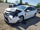 2023 Toyota Corolla Le White vin: 5YFB4MDEXPP060555