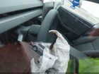2026 Tesla Model 3 Premium All-wheel Drive Белый vin: 5YJ3E1EB5TF116802