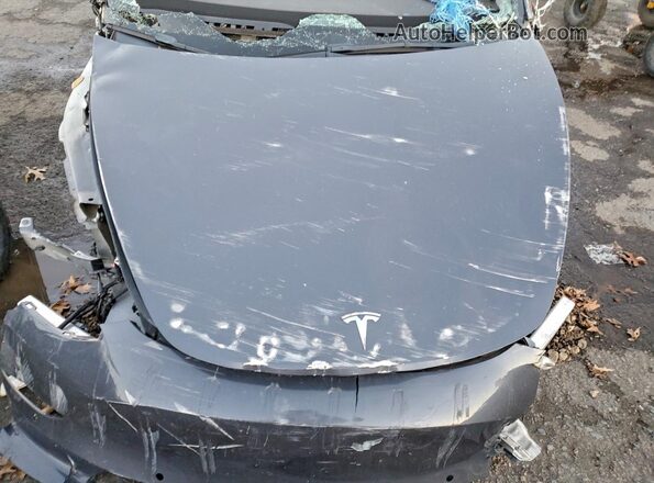 5YJ3E1EB7NF127173 2022 TESLA MODEL Серый Вид задней части салона