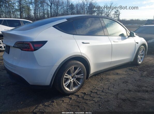 5YJYGDEE1MF095069 2021 TESLA MODEL Y White Задня права чверть