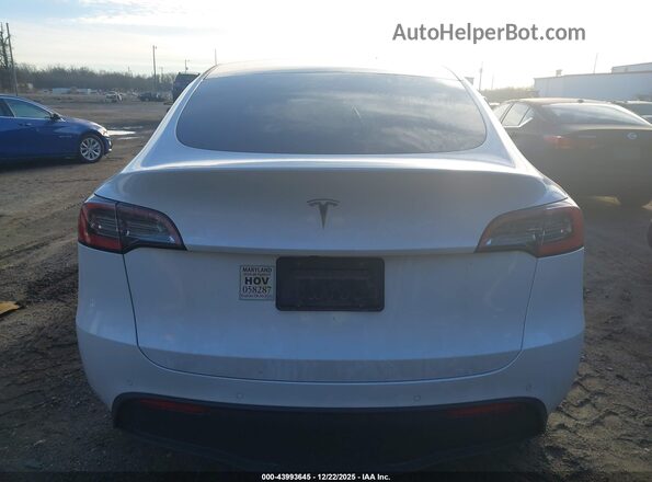 5YJYGDEE1MF095069 2021 TESLA MODEL Y White 