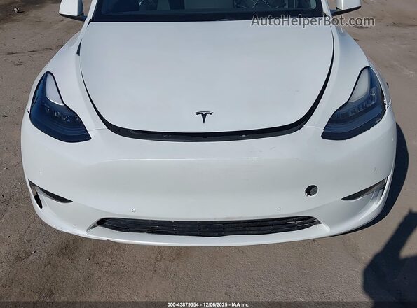 5YJYGDEE5MF072572 2021 TESLA MODEL Y White Դիմացի տեսք