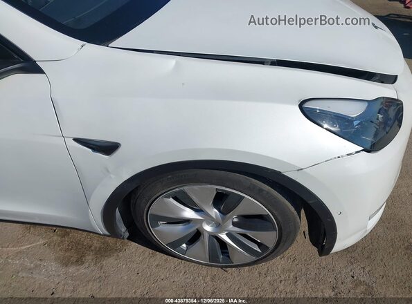 5YJYGDEE5MF072572 2021 TESLA MODEL Y White 
