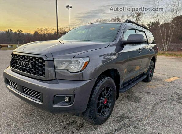 5TDEY5B10MS182254 2021 TOYOTA SEQUOIA Серый Задняя правая четверть