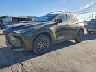 2024 Lexus Nx 250 Base Green vin: 2T2ADCAZ1RC012020