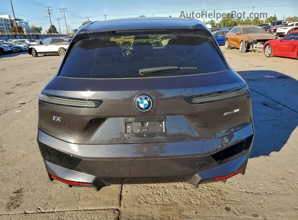 WB523CF04RCN74259 2024 BMW IX Gray Vista interior delantera