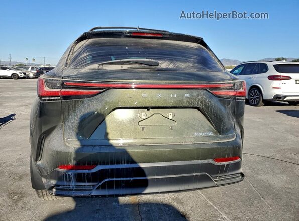 2T2ADCAZ1RC012020 2024 LEXUS NX 250 BAS Green Widok wnętrza z przodu