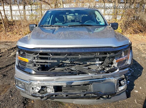 1FTEW3LP4SKE63121 2025 FORD F150 Silver Вид ззаду