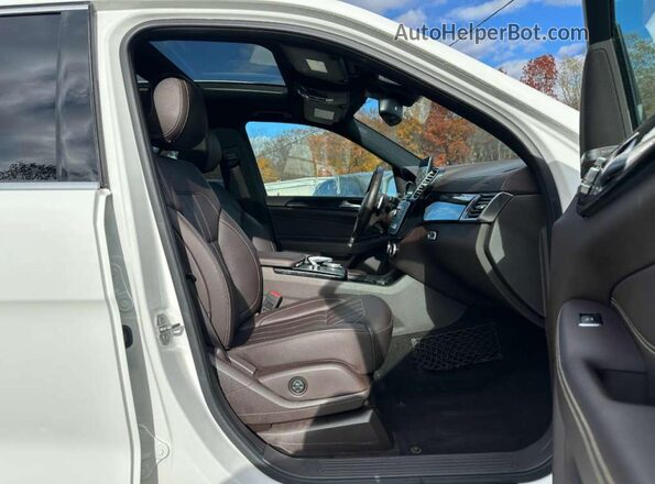 4JGDF6EE9HA798054 2017 MERCEDES-BENZ GLS Белый Вид задних сидений