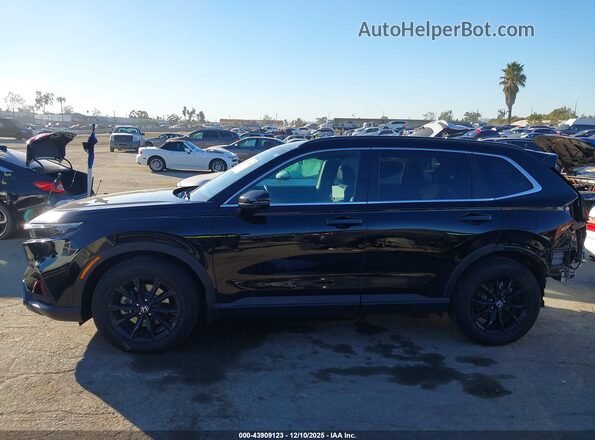 7FARS5H54RE006157 2024 HONDA CR-V HYBRID Black 