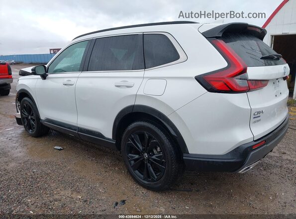 7FARS6H95SE020776 2025 HONDA CR-V HYBRID Белый Задняя левая четверть