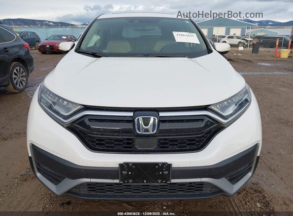 7FART6H81ME005747 2021 HONDA CR-V HYBRID White Սալոնի հետևի տեսք