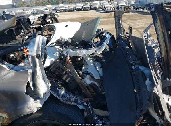 7SAXCBE53PF429475 2023 TESLA MODEL X White Vista de la etiqueta del VIN