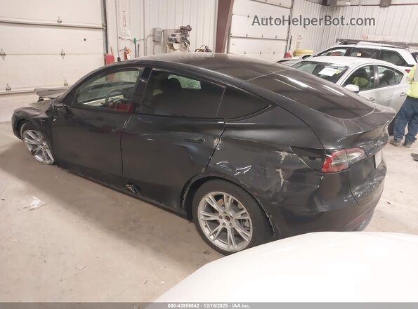 7SAYGDED3RF054296 2024 TESLA MODEL Y Gray უკანა მარცხენა