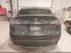 2024 Tesla Model Y   Gray vin: 7SAYGDED3RF054296