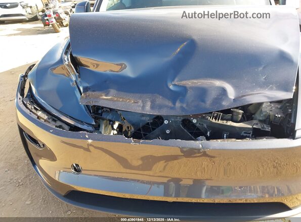 7SAYGDED5TA462609 2026 TESLA MODEL Y Серый Вид спереди