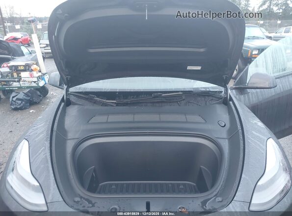 7SAYGDEE1SF256696 2025 TESLA MODEL Y Gray Widok z tyłu