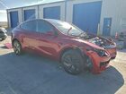 2026 Tesla Model Y Red vin: 7SAYGDEEXTA495923