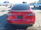 2024 Tesla Model Y Performance Dual Motor All-wheel Drive Red vin: 7SAYGDEF4RF162153