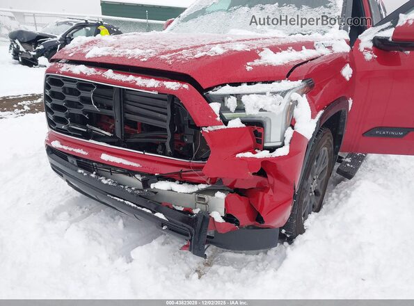 7SVAAABA1PX005907 2023 TOYOTA SEQUOIA Красный Вид спереди
