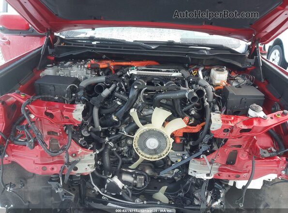 7SVAAABA2SX050492 2025 TOYOTA SEQUOIA Red Widok z tyłu