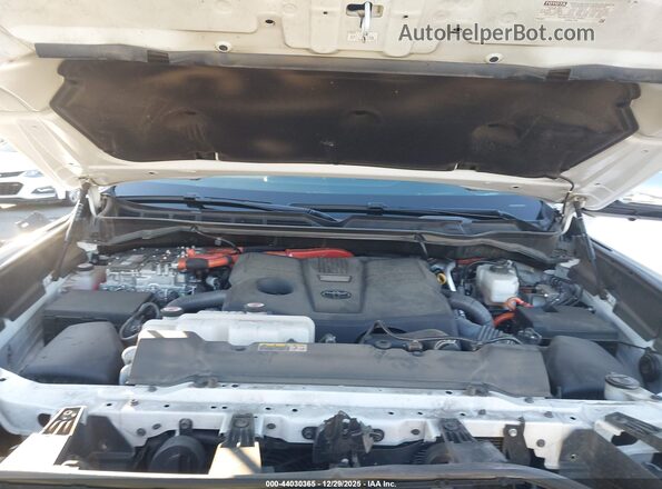 7SVAAABA3PX008713 2023 TOYOTA SEQUOIA Белый Вид сзади