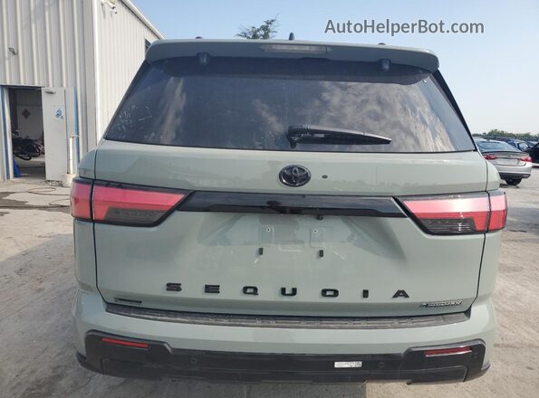 7SVAAABA5SX053659 2025 TOYOTA SEQUOIA Gray უკანა ხედი