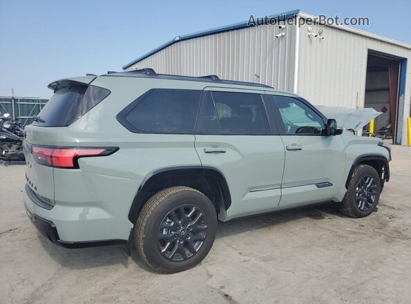 7SVAAABA5SX053659 2025 TOYOTA SEQUOIA Gray უკანა მარჯვენა