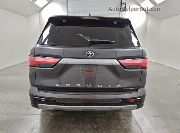 7SVAAABA6SX054108 2025 TOYOTA SEQUOIA Gray Rear view