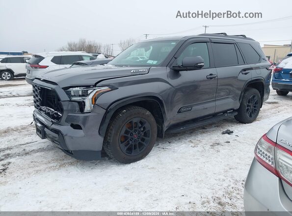 7SVAAABA8RX032475 2024 TOYOTA SEQUOIA Gray Przód lewy