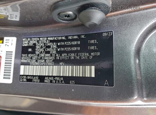 5TDZRKEC4PS178903 2023 TOYOTA LIMITED Серый Панорамный вид салона 360°