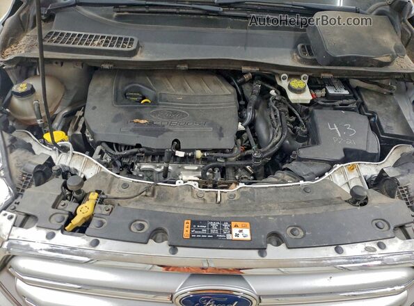1FMCU0GD3HUB82724 2017 FORD ESCAPE White VIN կոդի պիտակի տեսք