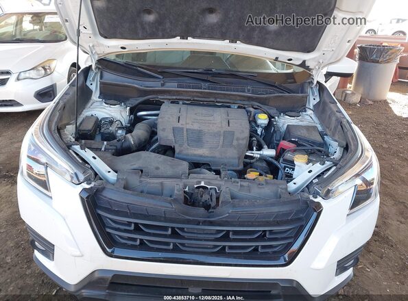 JF2SKAECXPH443846 2023 SUBARU FORESTER Белый Вид сзади