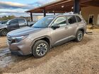 2025 Subaru Forester Premium Brown vin: JF2SLDDC7SH577528