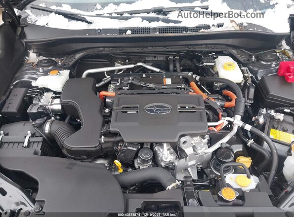 JF2SLSED3SH429095 2025 SUBARU FORESTER Gray Widok z tyłu