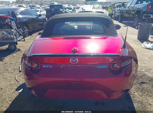 JM1NDAC7XS0659313 2025 MAZDA MX-5 MIATA Красный 