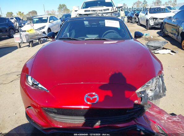 JM1NDAC7XS0659313 2025 MAZDA MX-5 MIATA Красный Вид задней части салона