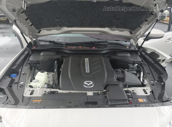 JM3KKEHA8S1250331 2025 MAZDA CX-90 Cream Vista interior trasera