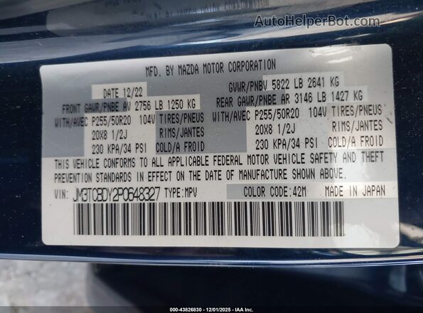 JM3TCBDY2P0648327 2023 MAZDA CX-9 Синий Вид подкапотного пространства