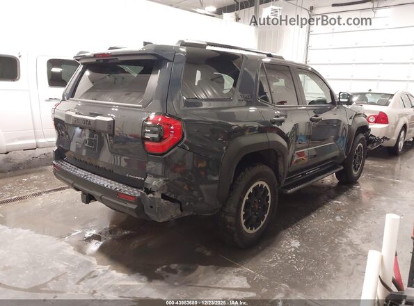 JTEVB5BR2S5018865 2025 TOYOTA 4RUNNER Серый Задняя правая четверть