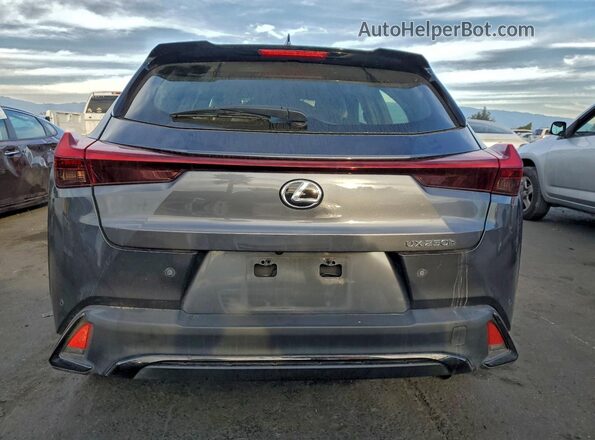 JTHB6JBH5P2154183 2023 LEXUS UX Угольный Вид сзади