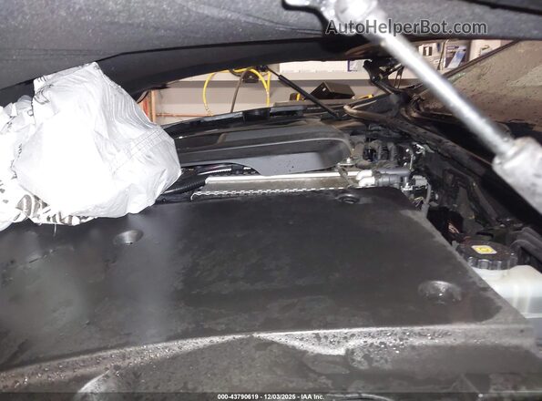 JTHC5LFF5J5003880 2018 LEXUS LS 500 Черный Вид сзади