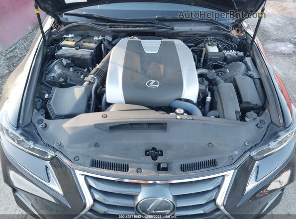 JTHD81F23L5040359 2020 LEXUS IS 300 Black Widok z tyłu