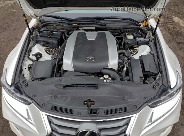 JTHD81F29L5042990 2020 LEXUS IS Белый Вид задней части салона