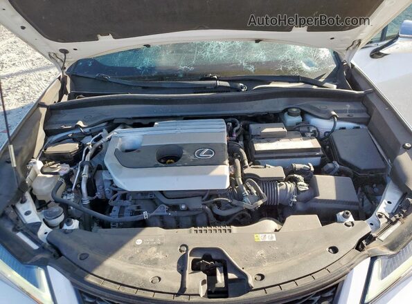 JTHE3JBH4M2033131 2021 LEXUS UX White უკანა სალონის ხედი